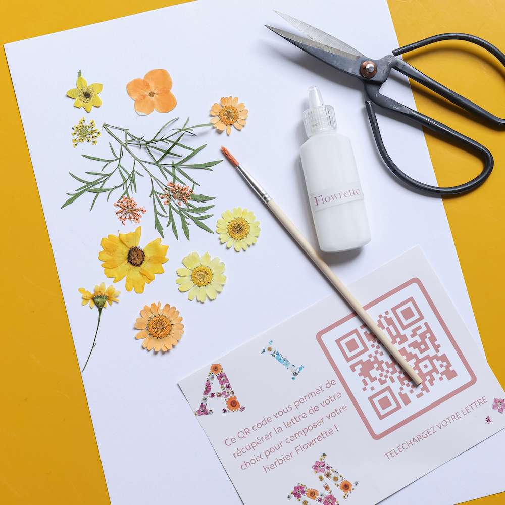 Kit Diy Herbier Abécédaire Jaune