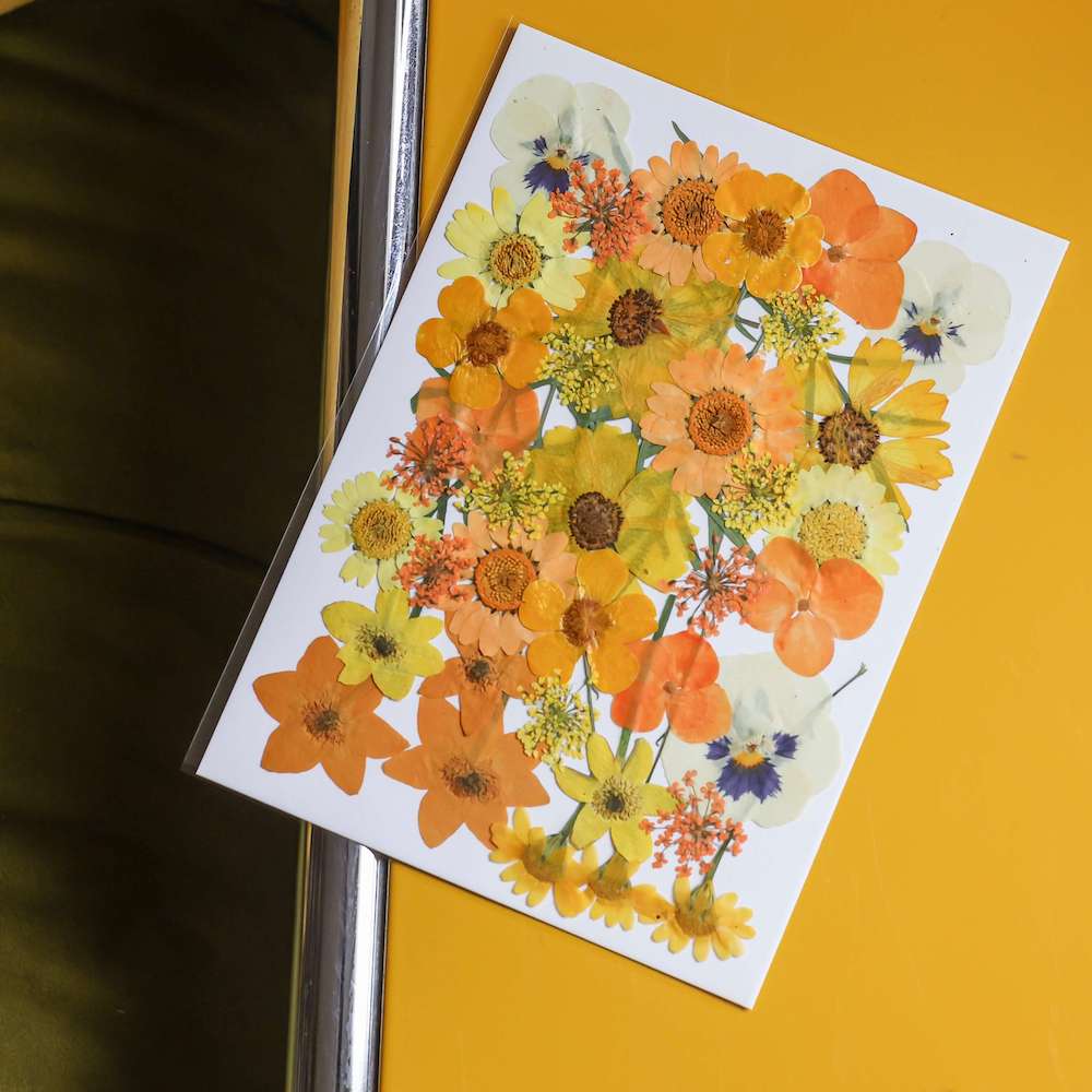 Kit Diy Herbier Abécédaire Jaune