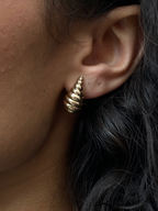 Flary Earrings