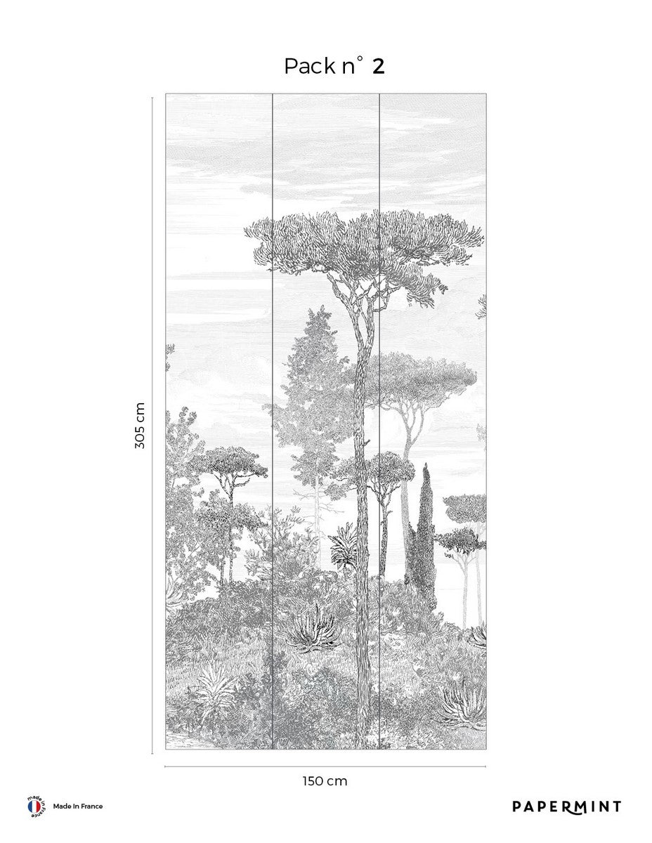 Forêts De Pins Wall Mural - Grigio Umbro
