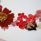 Herbier Balade Bucolique A4