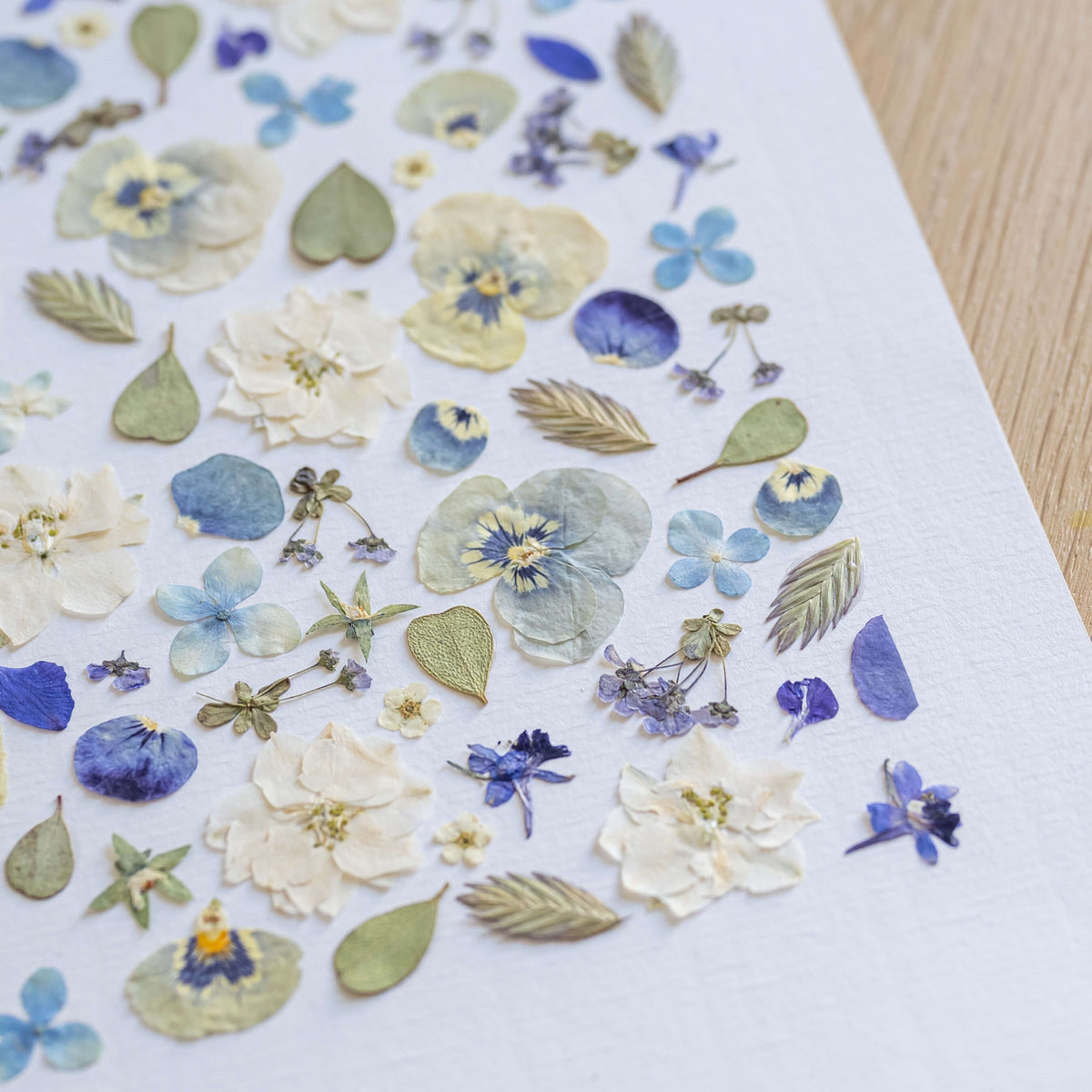 Herbier Idylle Provençale A4
