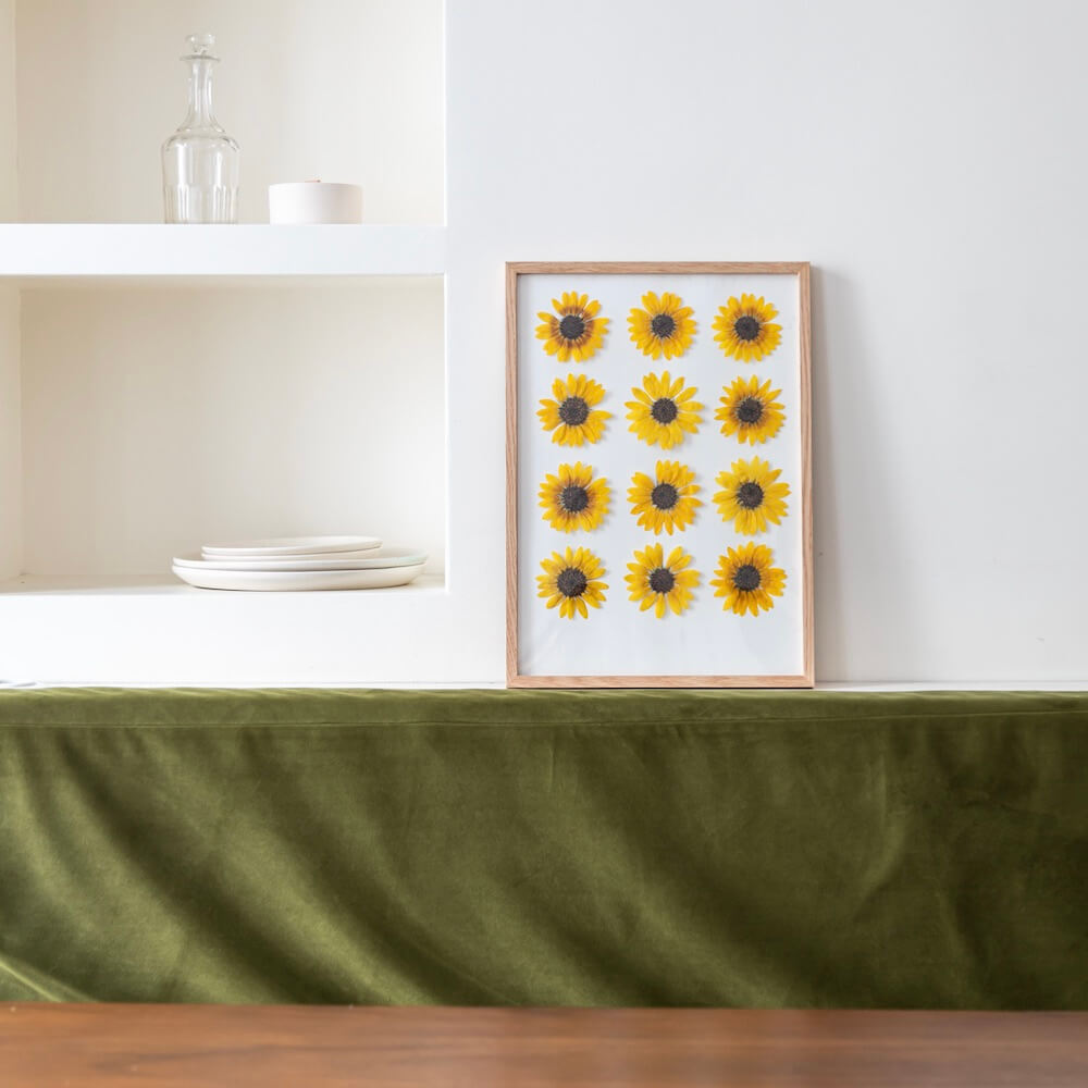 Herbier Tournesols