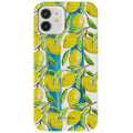 Coque Magsafe Robuste Limonata