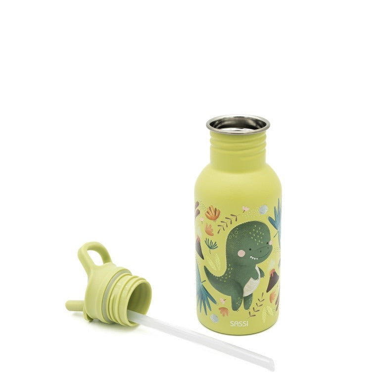 Gourde 500 Ml - Le Dinosaure