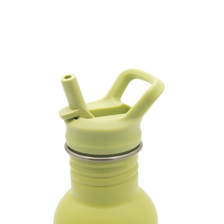 Gourde 500 Ml - Le Dinosaure