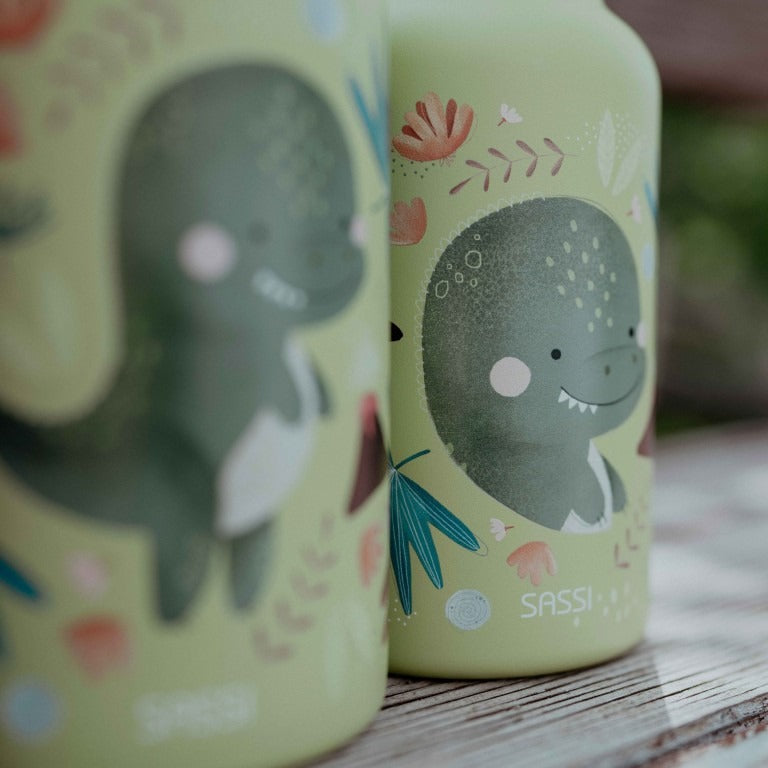 Gourde 500 Ml - Le Dinosaure