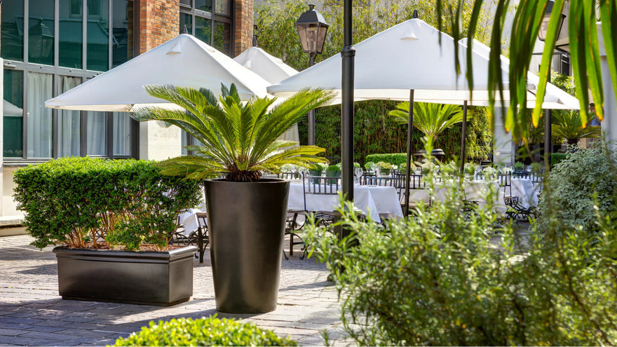 Los jardines de Marais