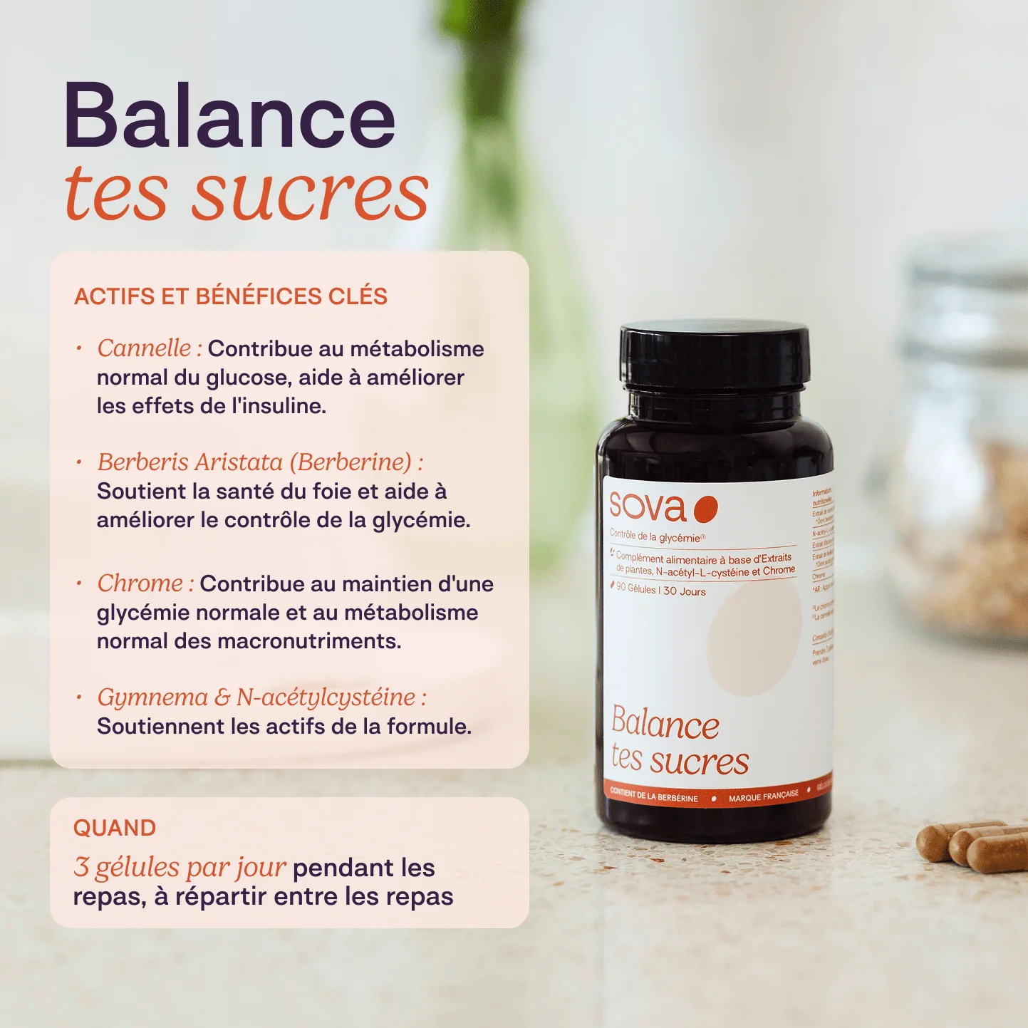 Paquete de equilibrio: equilibrio hormonal y estabilidad de la glucosa en sangre