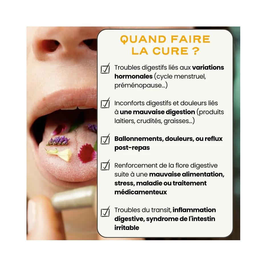 Digest - Équilibre De La Flore Intestinale