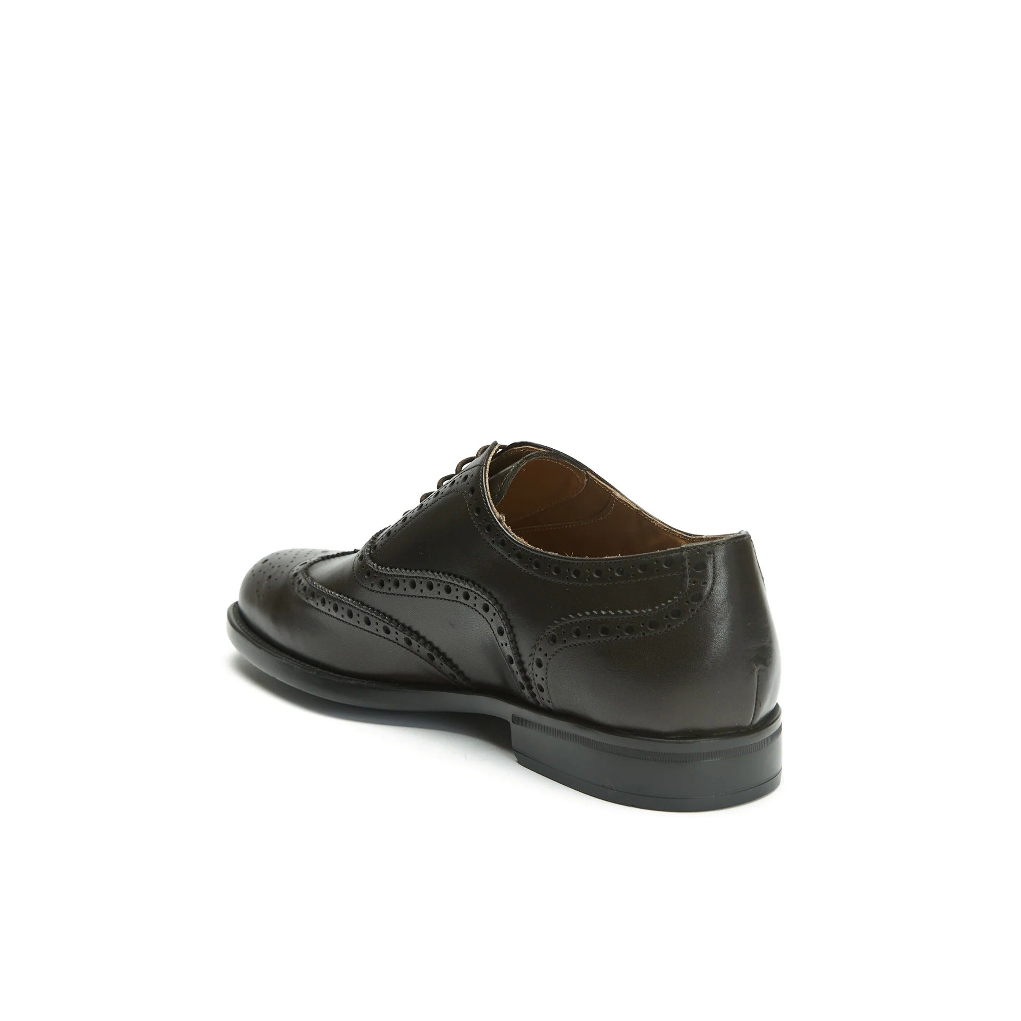 Oxford Wing Tip - Marrón oscuro - Hombre
