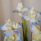 Iris Artificiel Bleu