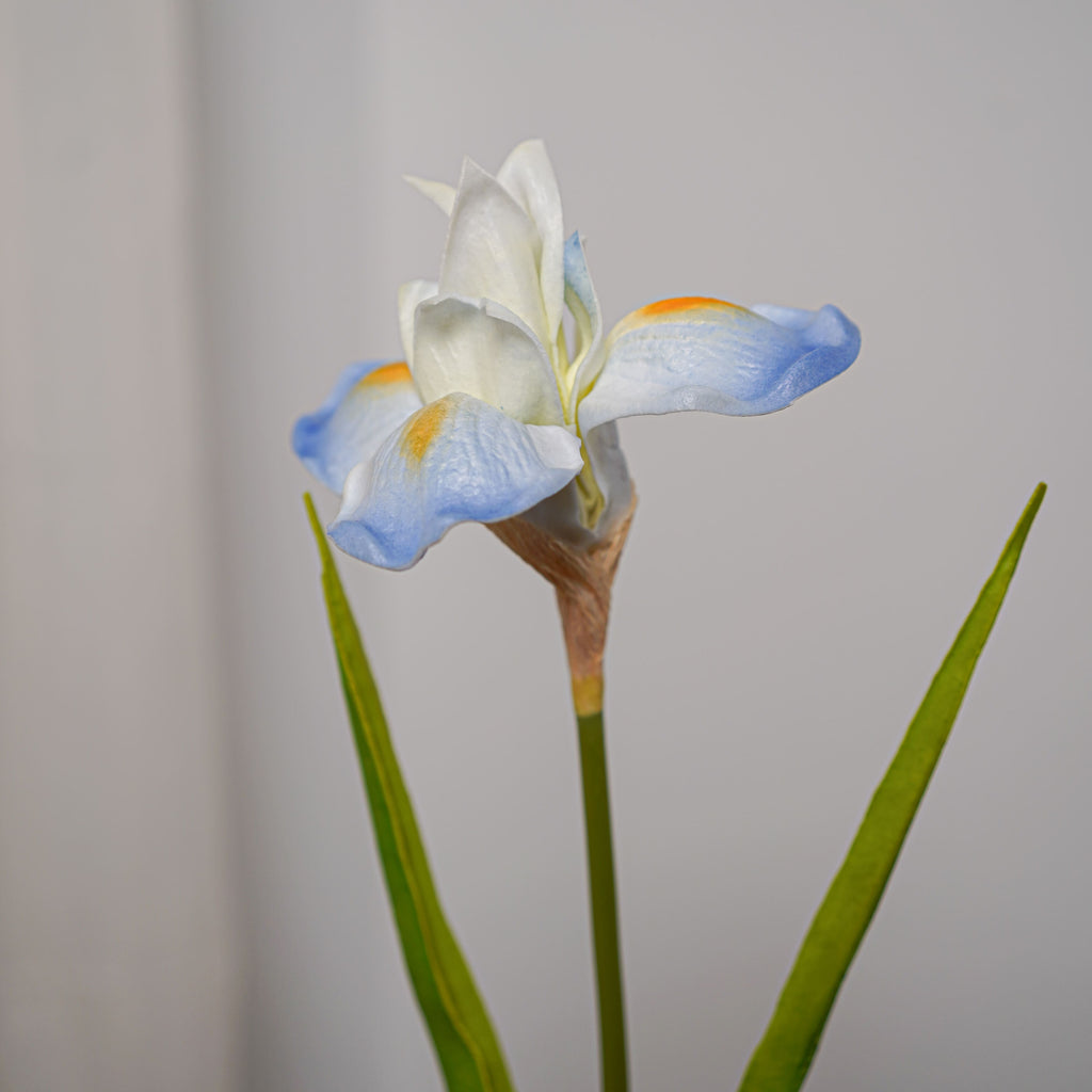 Iris Artificiel Bleu