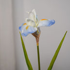 Iris Artificiel Bleu