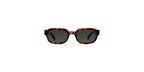 Gafas de Sol - Jamil Tigris Olive