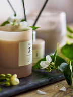 No. 2 - Green Gardenia - Lot de 6 Bougies Parfumées - Rose Poudré - Cire Naturelle