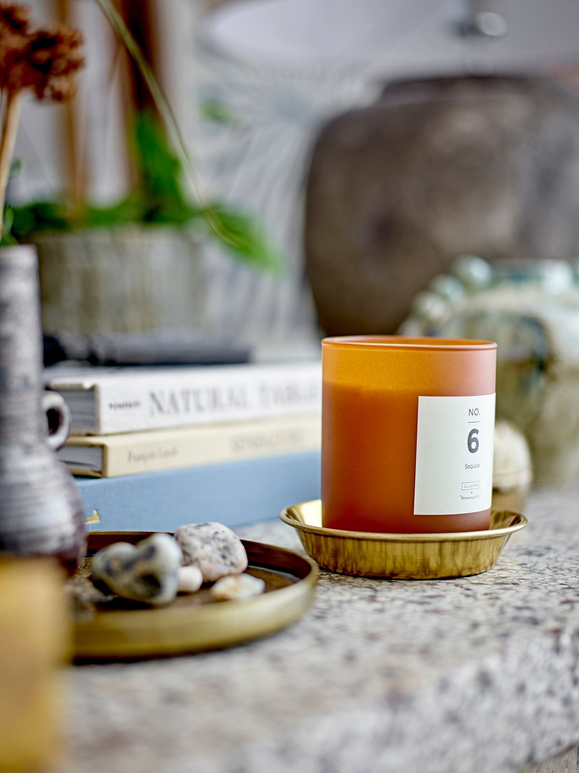 No. 6 - Sequoia - Lot de 6 Bougies Parfumées - Marron - Cire Naturelle
