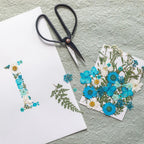 Kit Diy Herbario Abecedario Azul