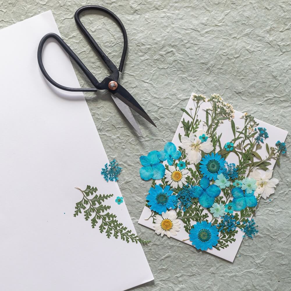 Kit Diy Herbario Abecedario Azul