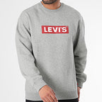 Polera Hombre T3 Relaxed Graphic Crew Levi'S
