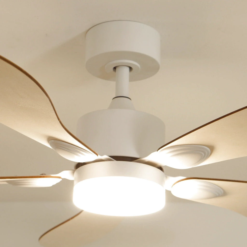 Libellule | Ceiling Fan – Ø 137 Cm