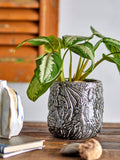Nikou - Deco Plant Pot - Black - Terracotta