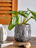 Nikou - Deco Plant Pot - Black - Terracotta
