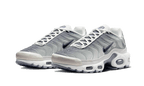Air Max Plus Sail Grey - Blanc