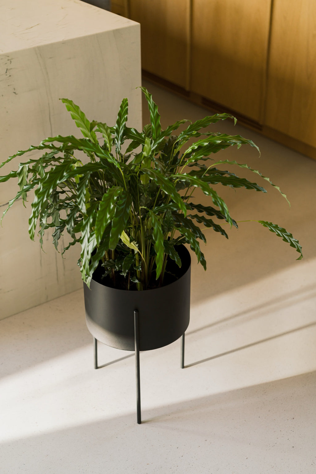 Pot De Fleurs Maki – Large - Vulcano Black
