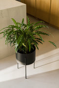 Pot De Fleurs Maki – Large - Vulcano Black