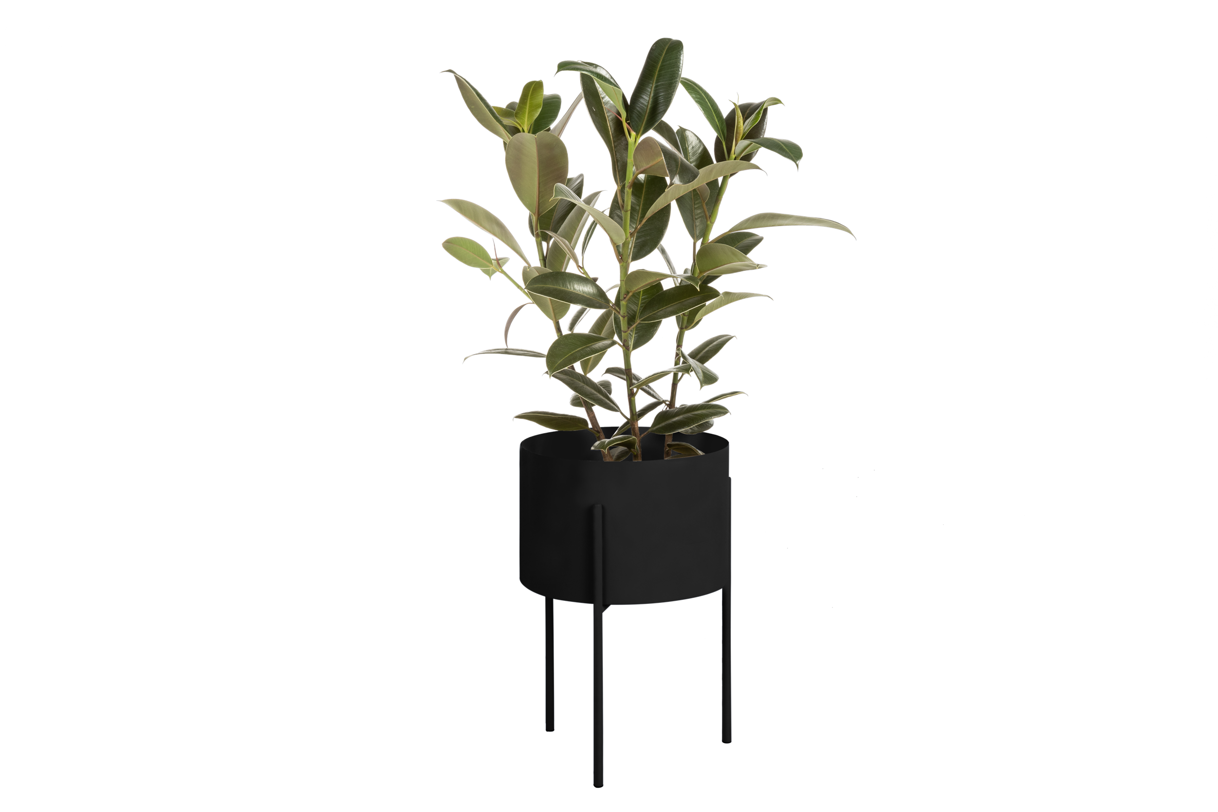 Pot De Fleurs Maki – Large - Vulcano Black