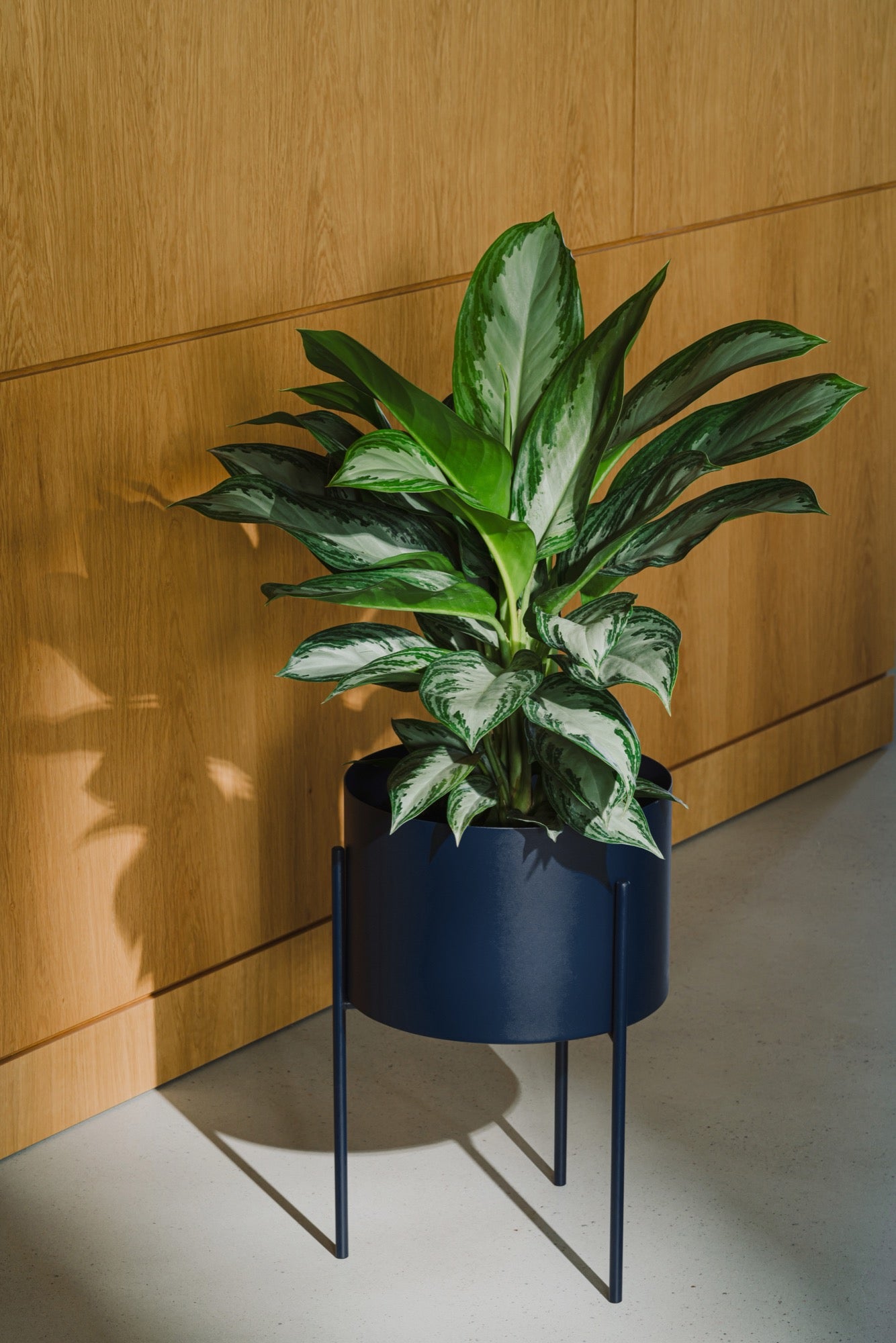 Pot De Fleurs Maki – Large - Storm Blue