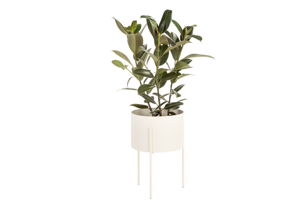 Pot De Fleurs Maki – Large - Piazza Beige