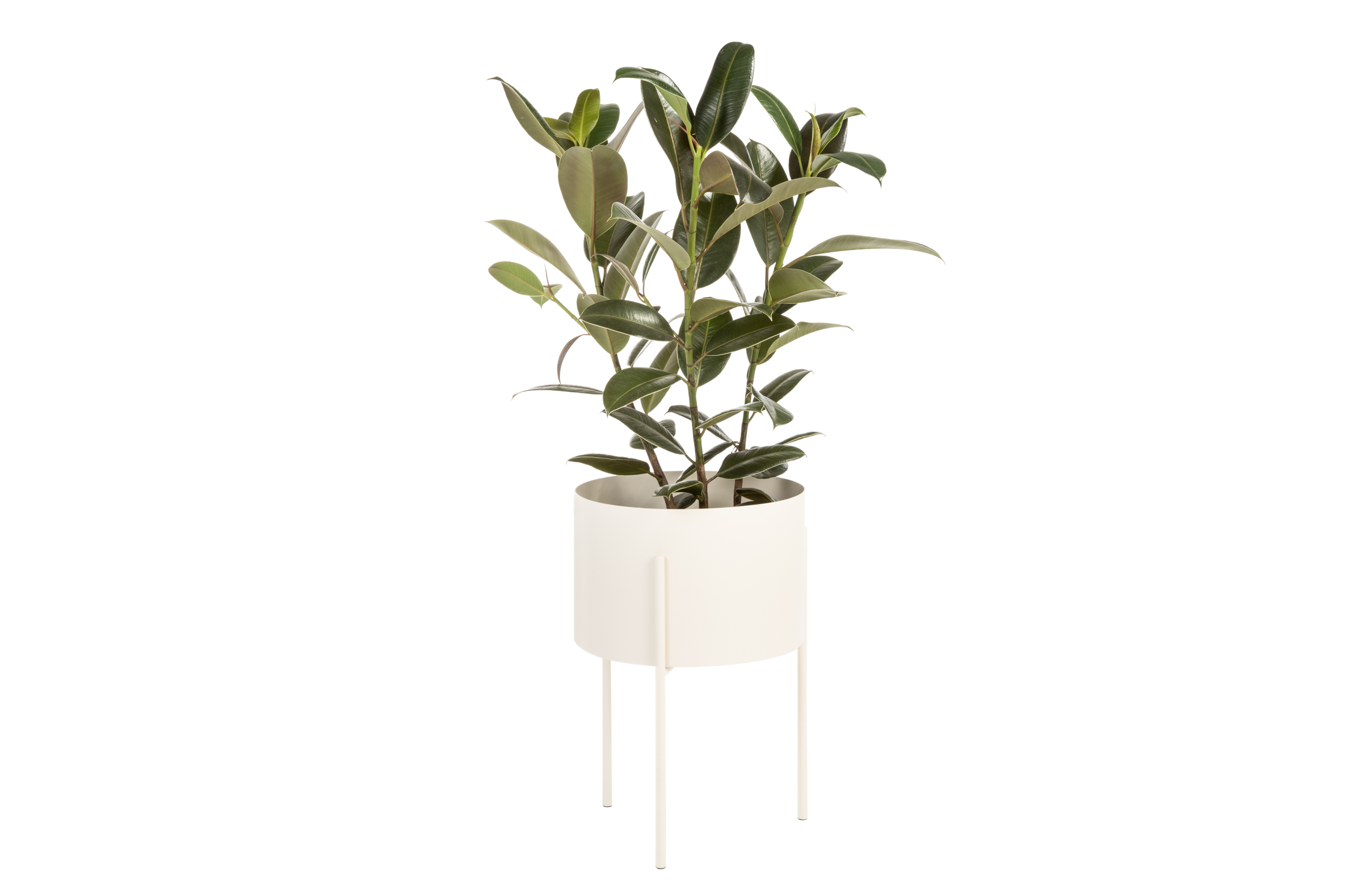 Pot De Fleurs Maki – Large - Piazza Beige
