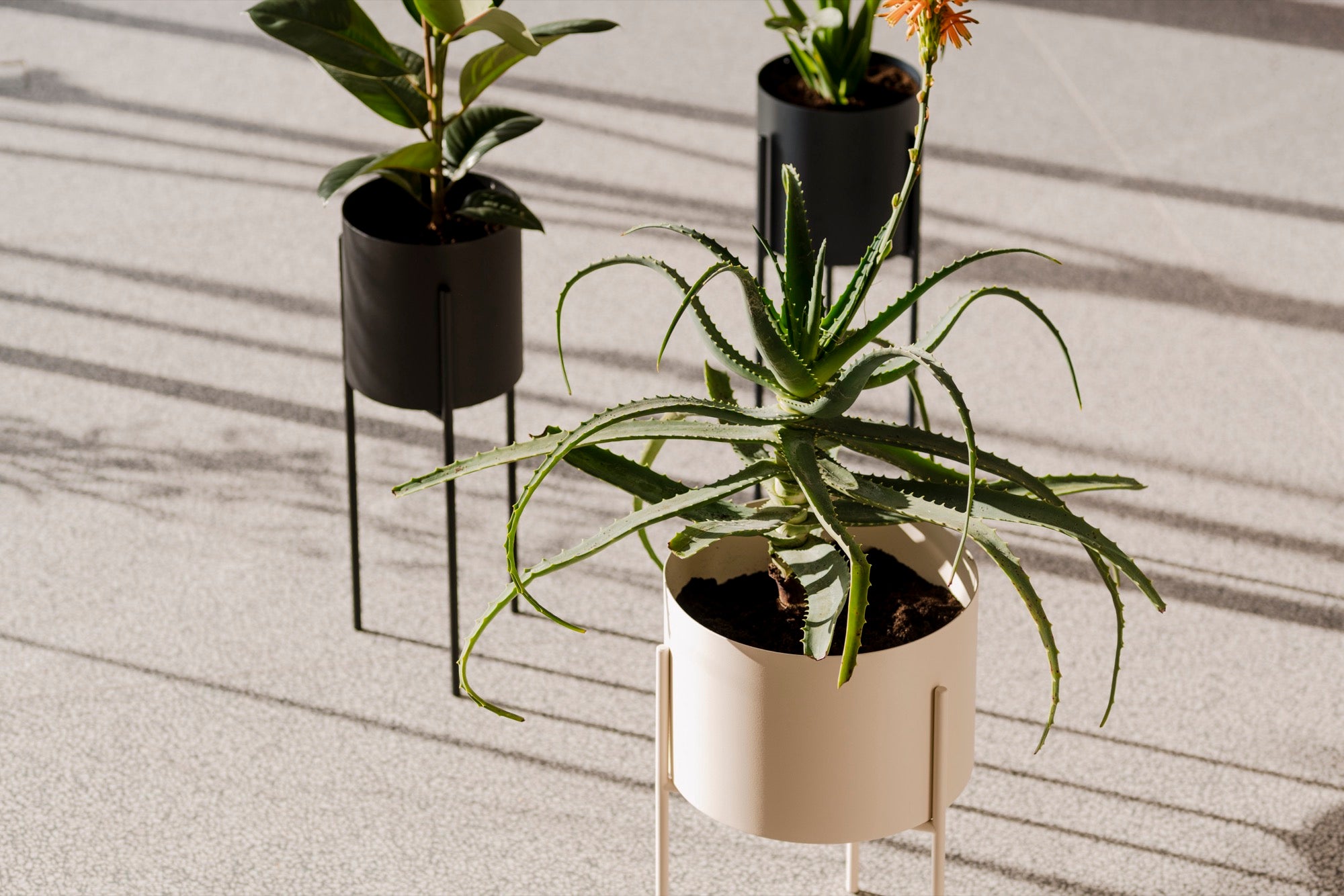 Pot De Fleurs Maki – Grand - Vulcano Black