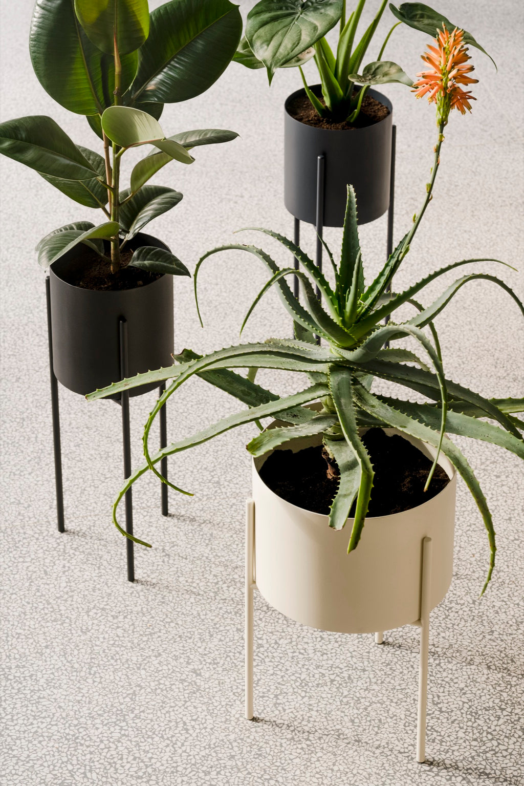Pot De Fleurs Maki – Grand - Vulcano Black