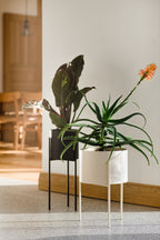 Pot De Fleurs Maki – Grand - Vulcano Black