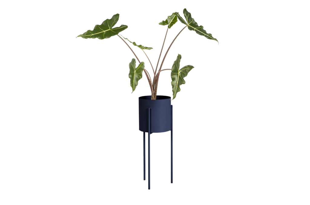 Pot De Fleurs Maki – Grand - Storm Blue
