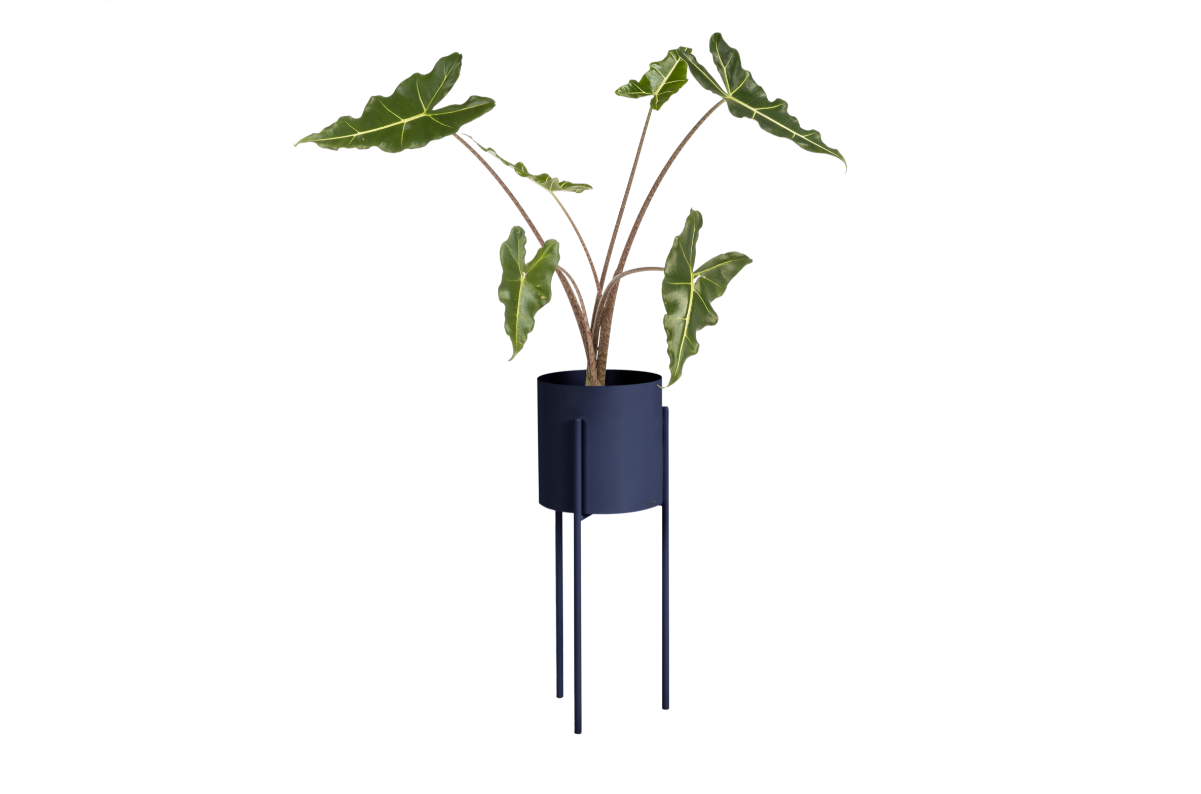 Pot De Fleurs Maki – Grand - Storm Blue