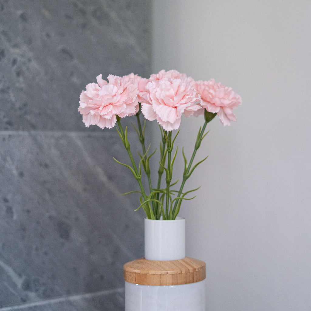 Oeillet Rose Poudré