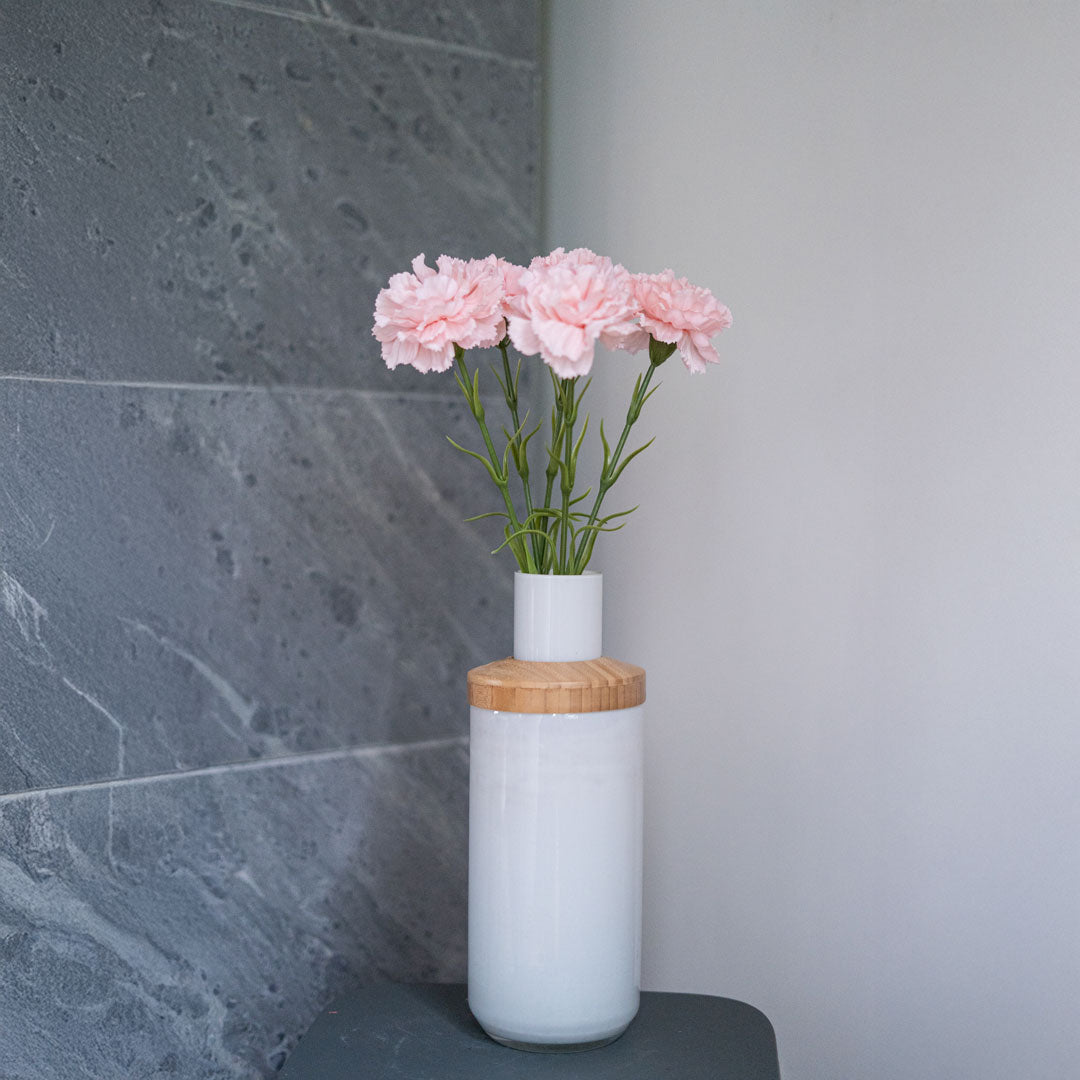 Oeillet Rose Poudré