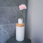 Oeillet Rose Poudré