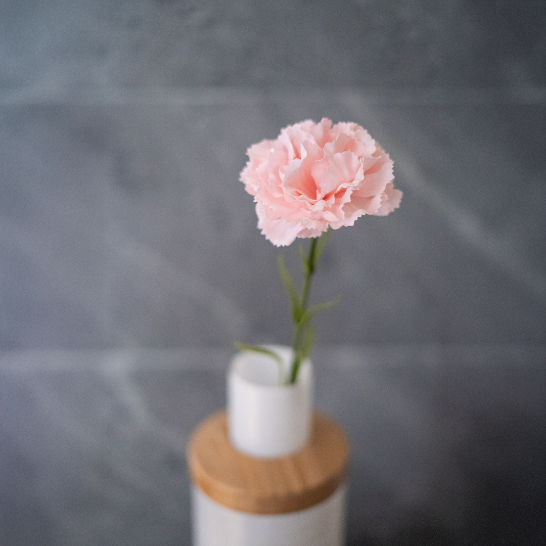Oeillet Rose Poudré