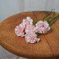 Oeillet Rose Poudré