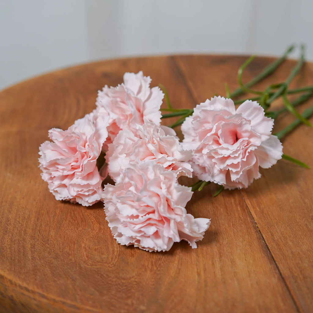 Oeillet Rose Poudré