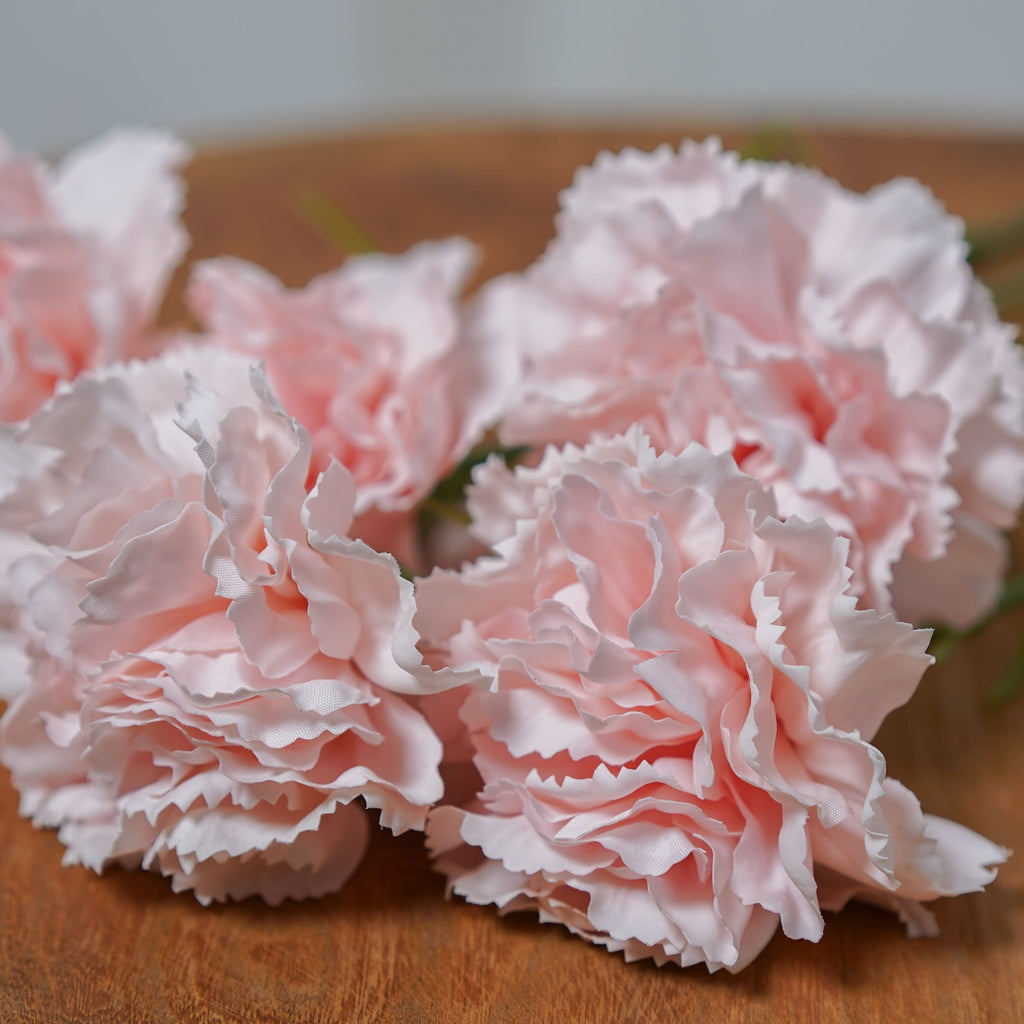 Oeillet Rose Poudré