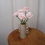 Oeillet Rose Poudré