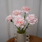 Oeillet Rose Poudré