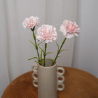 Oeillet Rose Poudré