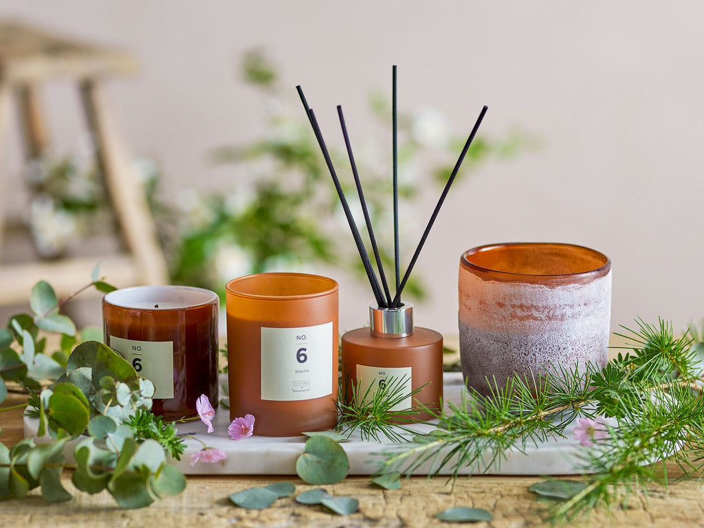 No. 6 - Sequoia - Lot de 6 Diffuseurs De Parfum - Marron - Mélange De Parfums